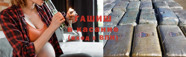 индика Арсеньев