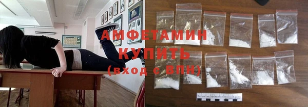 индика Арсеньев